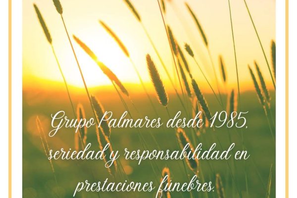 FB_IMG_1681918129340