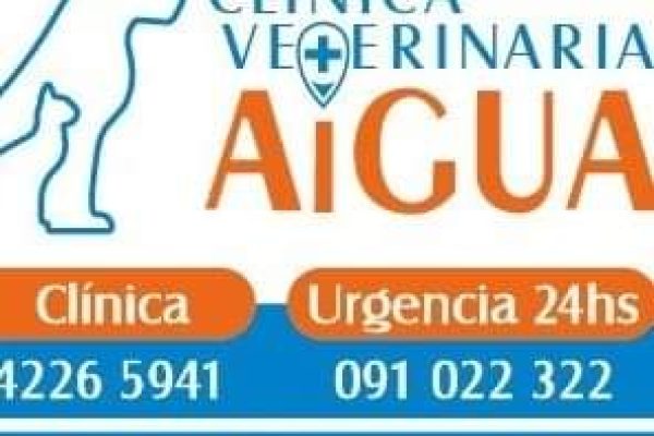 FB_IMG_1683160116727