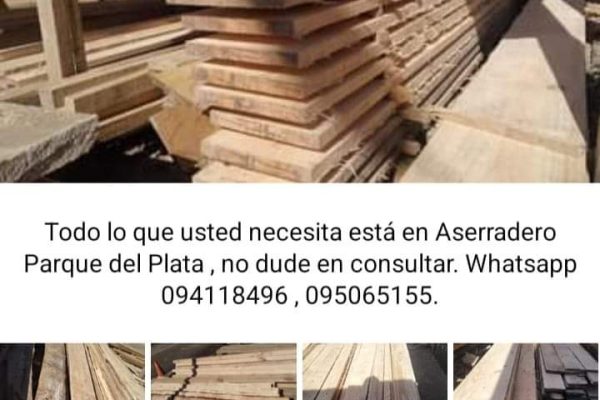 FB_IMG_1689118875830