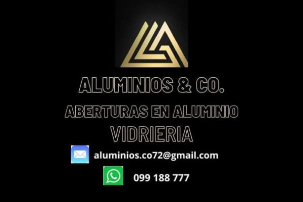 FB_IMG_1692116533901