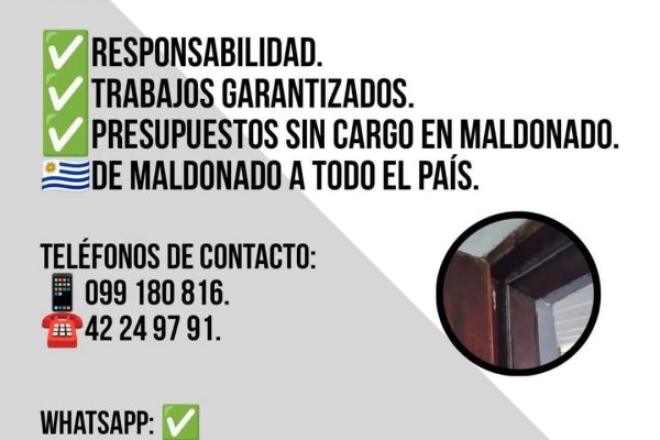 FB_IMG_1721358101613