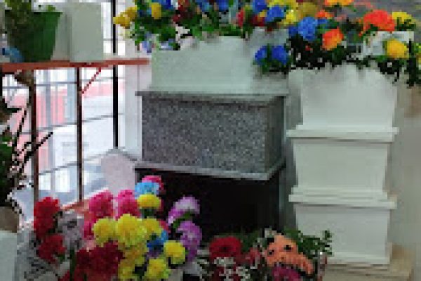 IMG-20230622-WA0022