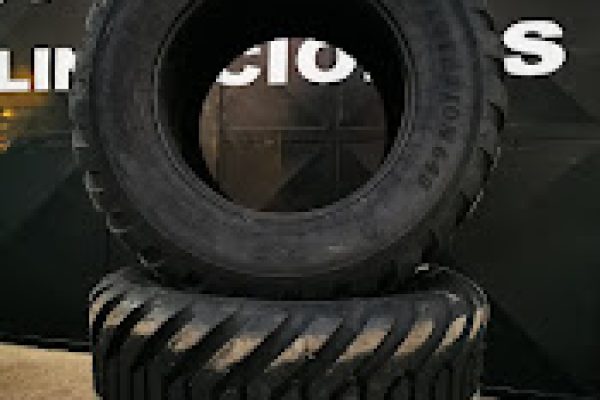 IMG-20240117-WA0005