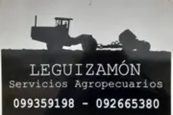 i79908-1-1225181423